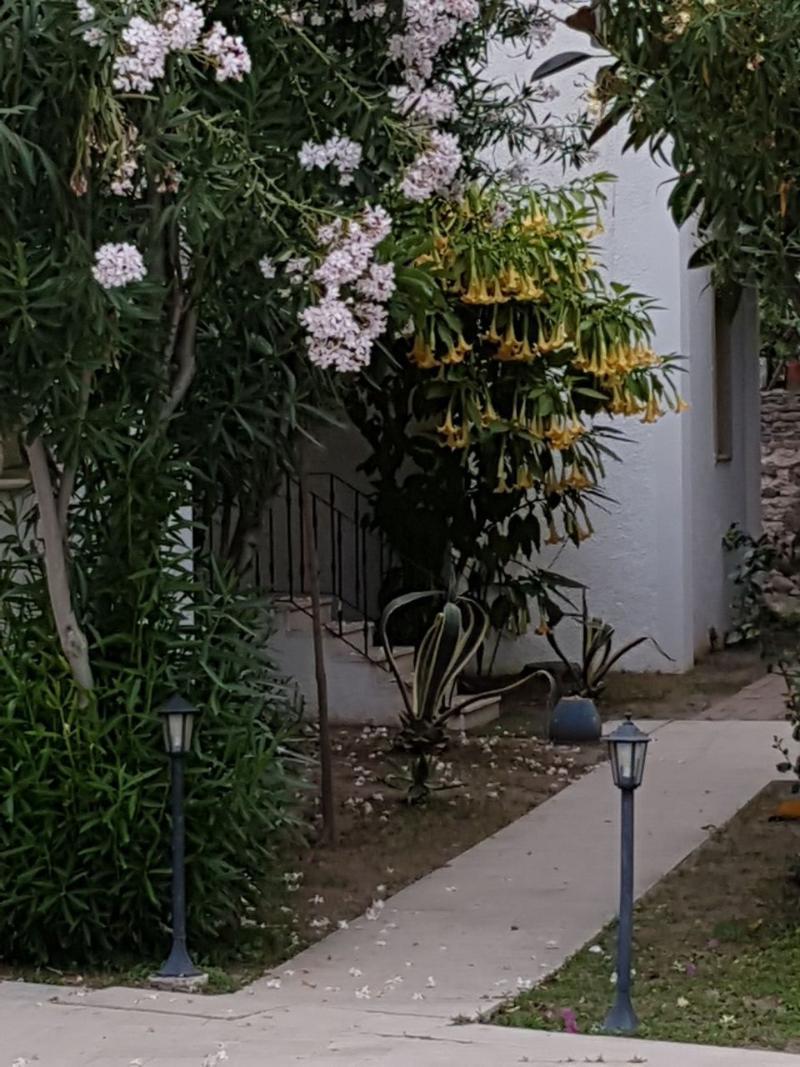 Hotel Princess Diltua Bodrum Bagian luar foto