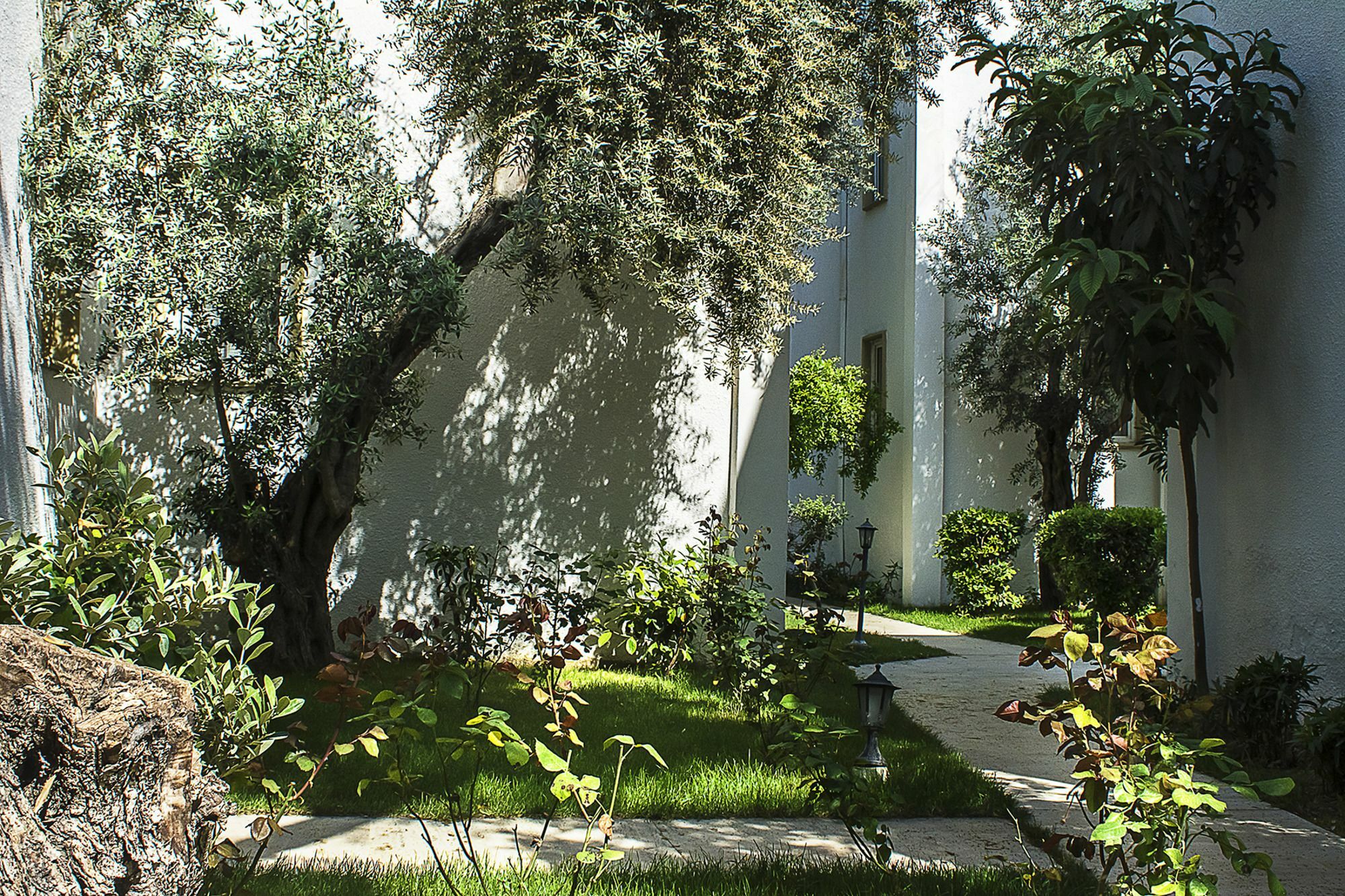 Hotel Princess Diltua Bodrum Bagian luar foto